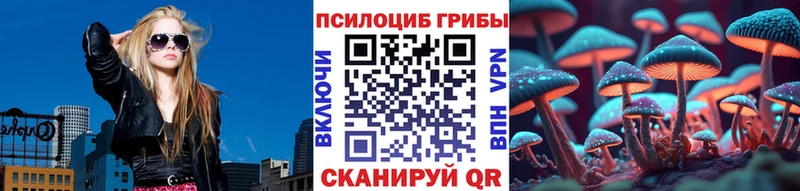 сколько стоит блэк спрут рабочий сайт Галлюциногенные грибы Psilocybe Черноголовка